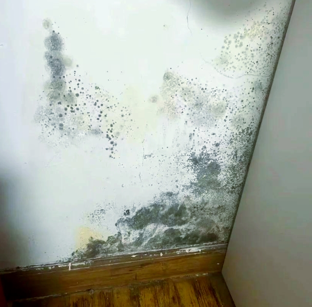 墻體發(fā)霉是漏水還是濕度問(wèn)題？如何判斷